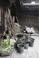DÃ©tail d'une Cour de Ferme Jianshui Yunnan Chine