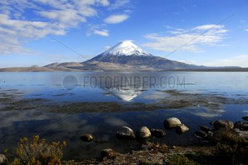 Lake Chungara and Parinacota volcano Lauca NP Chili