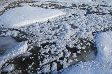 Einfrieren und Schnee auf einem Teich in Berg Alpes-Maritimes Frankreich