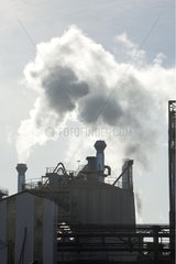 Cement factory chimneys belching out water vapour