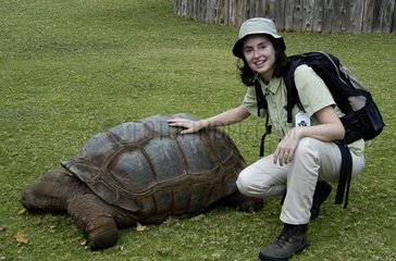 Touriste avec une tortue Orphelinat d'animaux sauvages