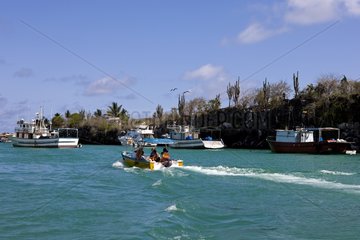 Der Hafen von Puerto Ayora auf Santa Cruz Island