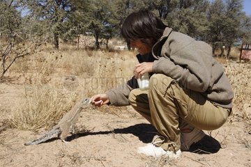 South african ground squirrel touching tourist Kgalagadi NP