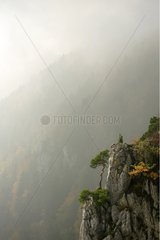 Fog over limestone cliff Swiss Jura