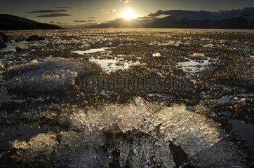 Tornetraesk Lake frozen at twilight Sweden