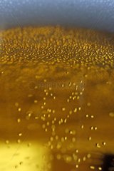 Detail von Blasen aus einem Elsace Blonde Bier