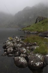 Fog over a lake Ireland