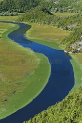 Meandering river Crnojevica NP Skadar Lake Montenegro
