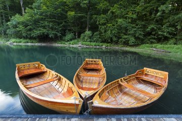 Fishing Boats on Lake Biograd PN Biogradska Gora Montenegro