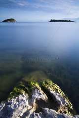 Islands on Lake Skadar Montenegro