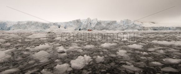 Floating Ice Paradise Bay Antarctica Peninsula