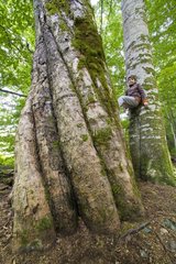 Boy between two trees NP Biogradska Gora Montenegro