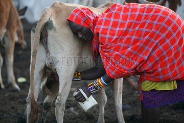 Kenya-Masai