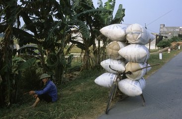 Mann  der in der NÃ¤he seines Fahrrads sitzt  Ã¼berladen von Taschen Vietnam