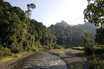 River crossing the tropical forest Borneo