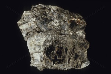 Manganophyllite from India