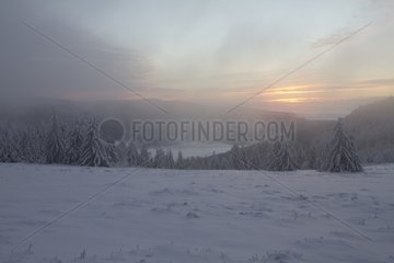 Snowy landscape of the Vosges in the early morning in winter