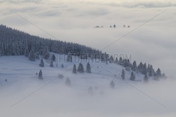Snowy landscape of the Vosges in winter