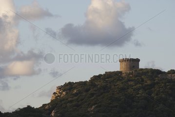Tower of Campomoro Corsica France