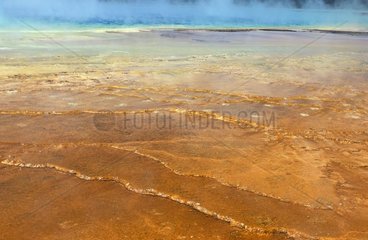 Source chaude & bactéries Grand Prismatic Spring Yellostone