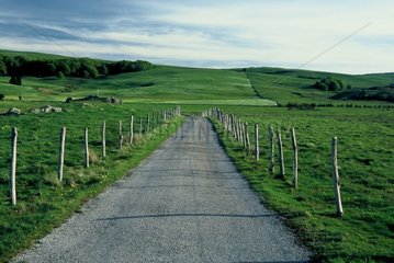 Road on the Aubrac plateau in spring Lozère France