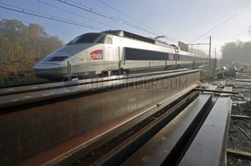 TGV crossing the East branch site of the high-speed line