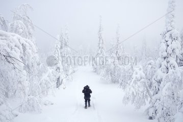 Schneeschuhwanderungen im schneebedeckten Finnland