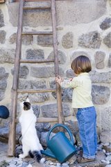 Girl helping a kitten 4 months to climb at ladder France