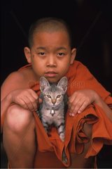 Chat de gouttière et jeune moine Birmanie