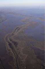 Air shot of a bayou Louisiana USA