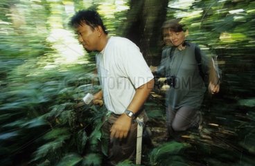Primatologue et son assistant marchant Indonésie