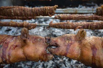 Schwein Spucke-geröstet Seulo Sardinia Italien