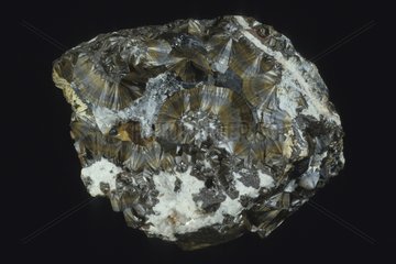 Limonite from Devonshire UK