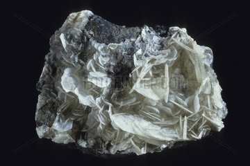 Brucite from Pennsylvania in the United States