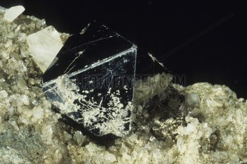 Magnetite from Viesh Switzerland