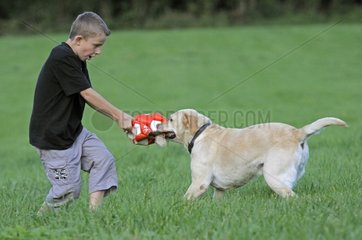 Boy playing with a Labrador in a meadow France