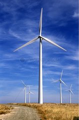Windmühlen in der Ebene von Aragon Huesca Spanien