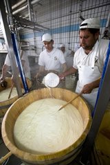 Arbeiter rührt Pulpe Mozzarella in einem Fass
