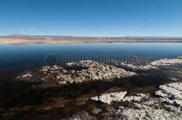 Laguna Tebenquiche Salar de Atacama Atacama Desert Chile