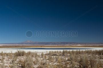 Salar de Atacama Atacama Desert Chile