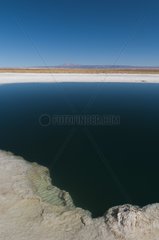 Laguna Sejar Salar de Atacama Atacama Desert Chile