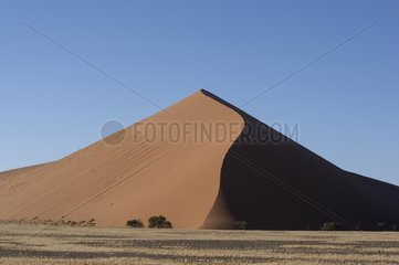Dune 45 Sossusvlei Namib desert Namibia