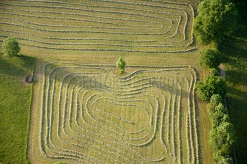 Aerial view of a mowed down meadow in Haut-Doubs - France
