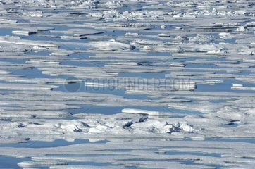 Plates of ice drifting during debacle Nunavut Canada