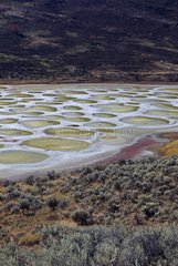 Spotted Lake a saline lake located northwest of Osoyoos