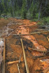 Creek carting ocher powder PN Kootenay in Canada