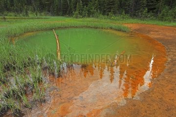 Green pond in the middle of an ocher ground charge in Canada