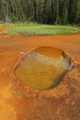 Circular pool surrounded by a ground charge ocher Canada