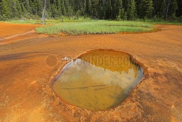 Circular pool surrounded by a ground charge ocher Canada