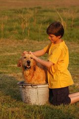 Enfant lavant un golden retriever